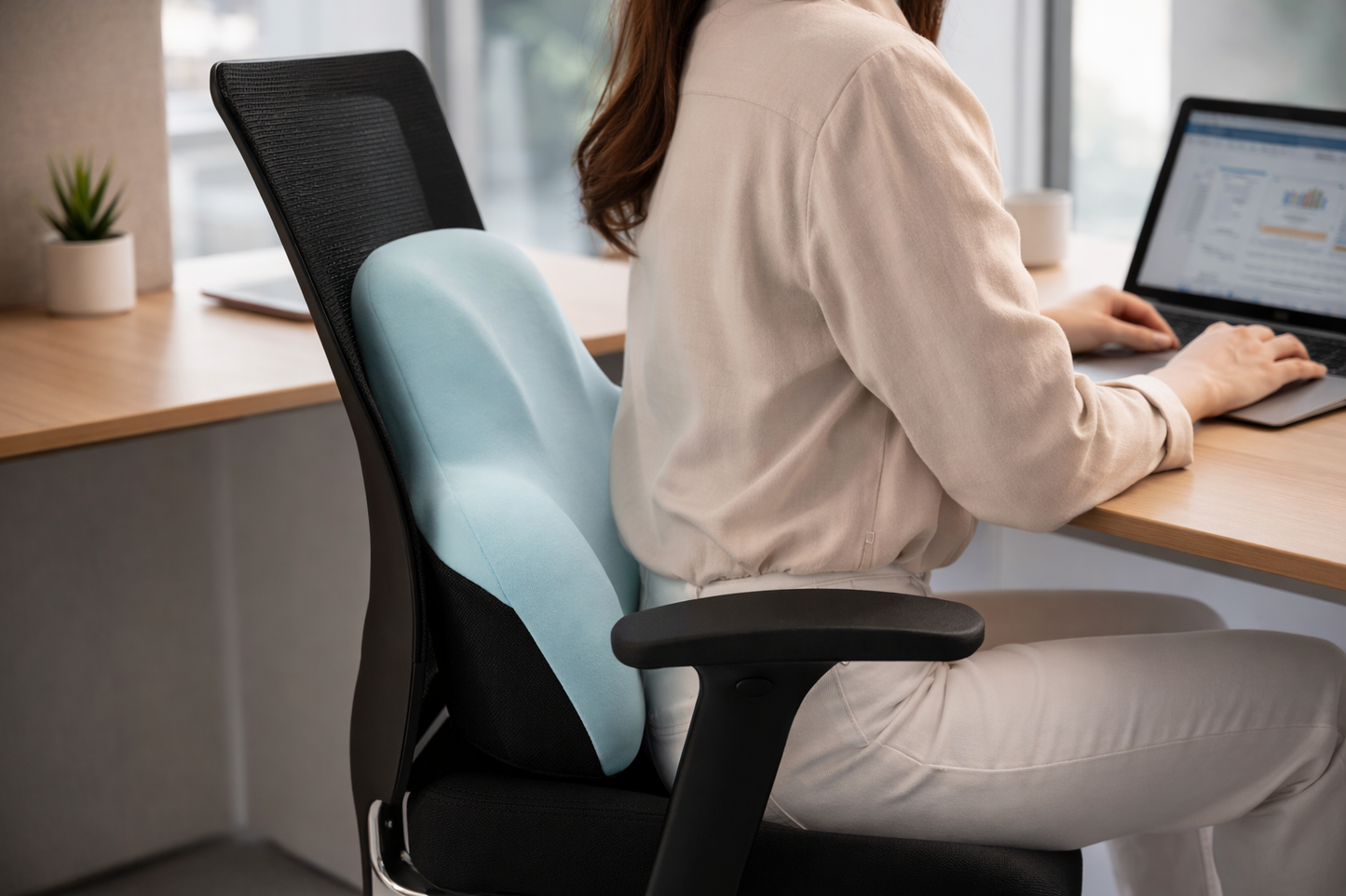 Memory Foam Lumbar Cushion